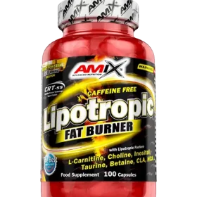 Amix Lipotropic Fat Burner (без кофеин) - 100 caps