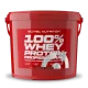 scitec whey protein professional 2.35kg whey protein scitec nutrition macedonia protein powder for muscle growth
