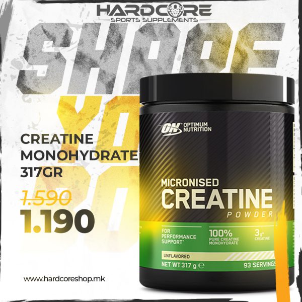 PROMO: ON Creatine Monohydrate 317gr