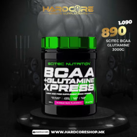 PROMO: Scitec bcaa glutamine 300gr