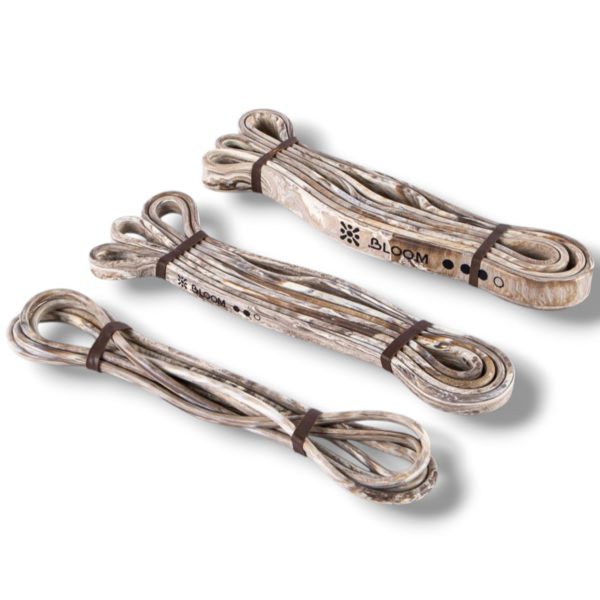 bloom resistanece set