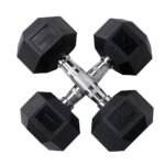 Hardcore PEV Dumbbells