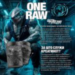 Zoomad Labs ONE RAW Creatine Monohydrate